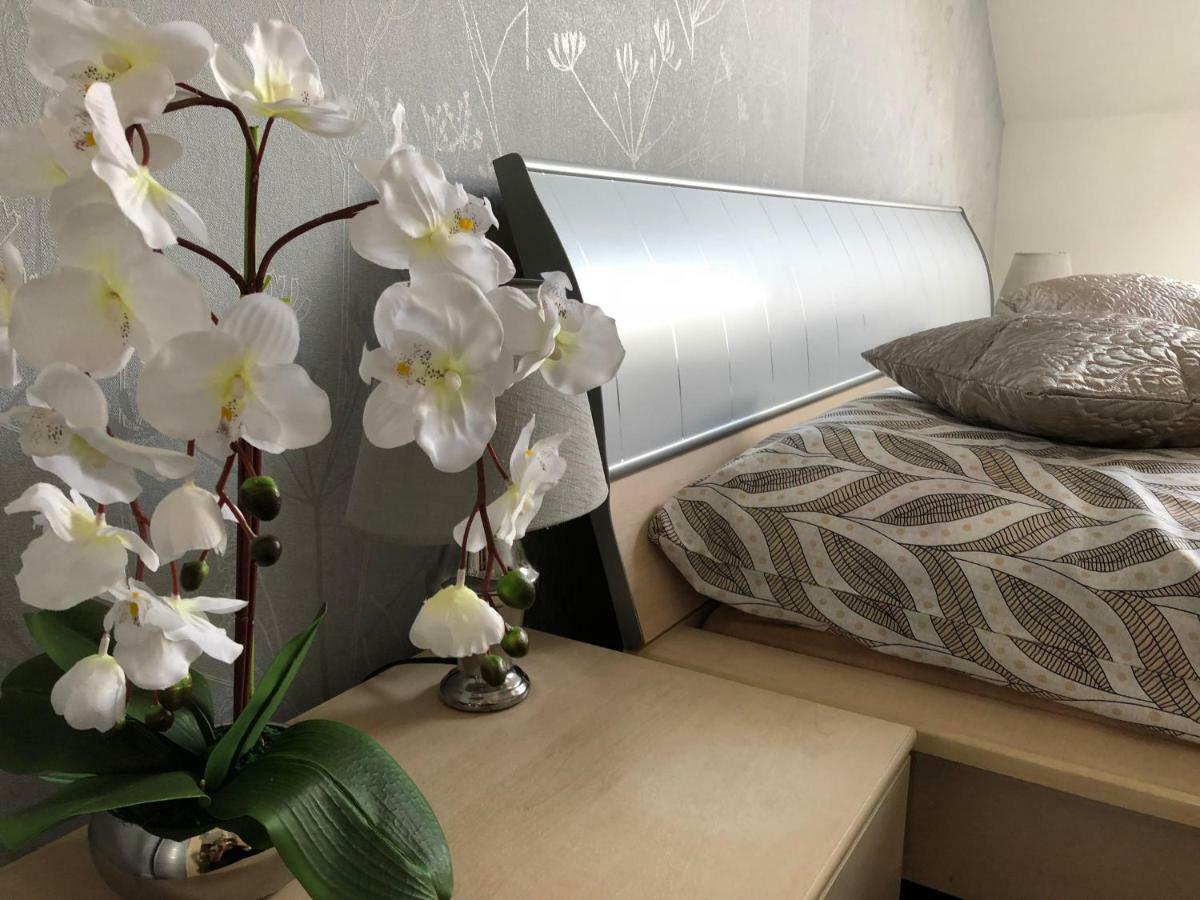 Family & Business Elegant Apartments Ul Warszawska - 2 Bedroom, Balcony, Parking Kielce Eksteriør bilde